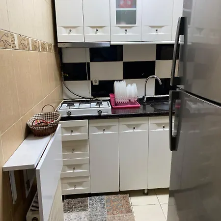 酒店 独特套房酒店 3*