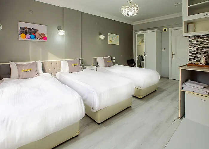 أجنحة يونيك الفندقية 3* اسطنبول